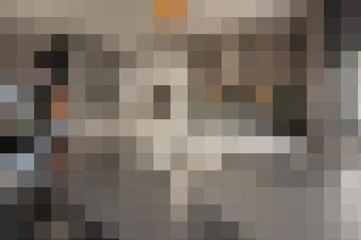 Valeriaan 93 Puttershoek thumbnail 14