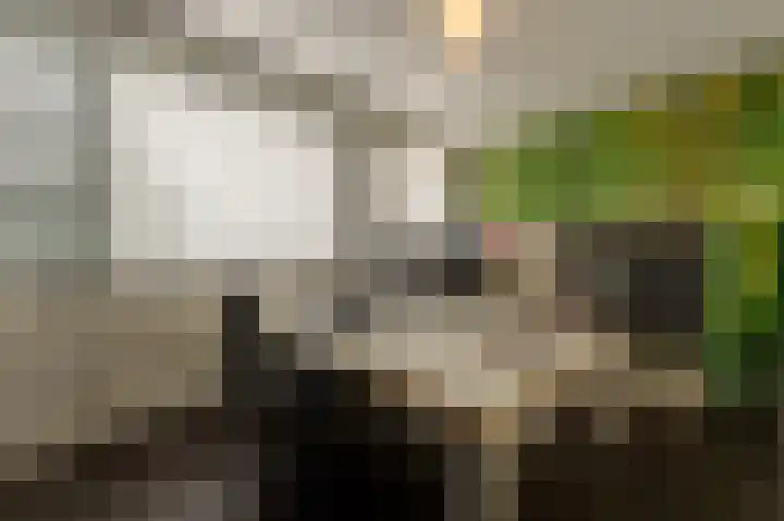 Valeriaan 93 Puttershoek thumbnail 17