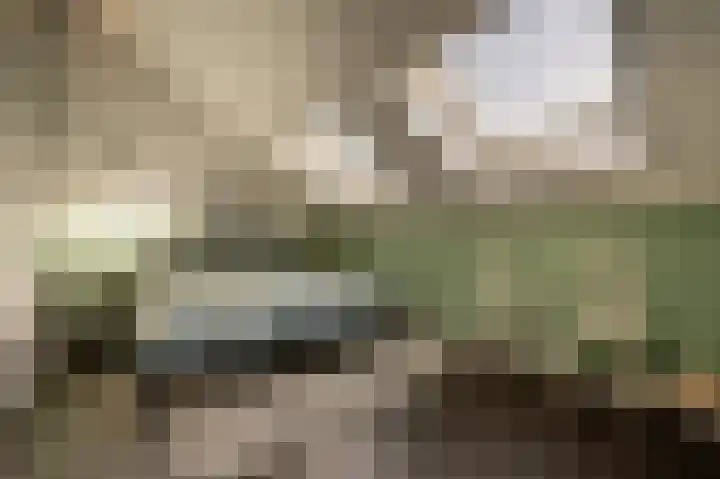 Valeriaan 93 Puttershoek thumbnail 25