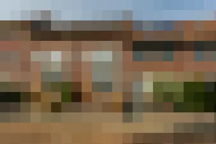 Valeriaan 93 Puttershoek thumbnail 33