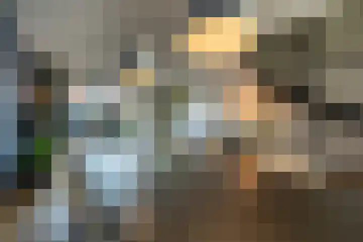 Valeriaan 93 Puttershoek thumbnail 6