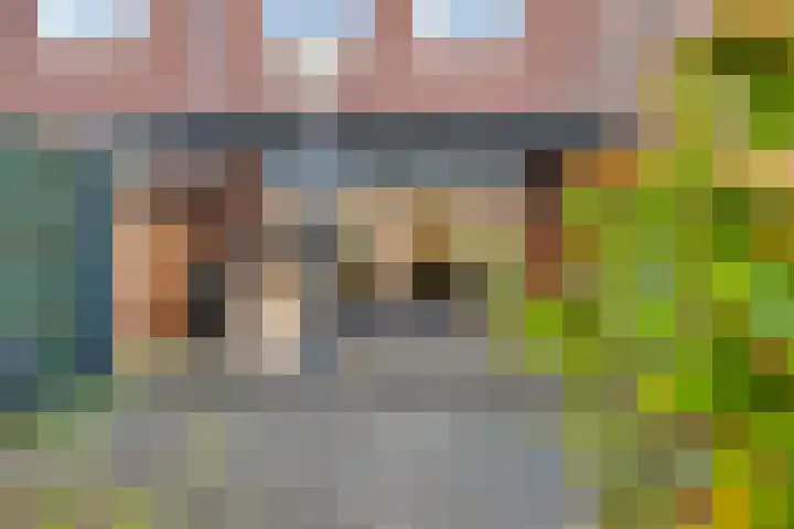 Valeriaan 95 Puttershoek thumbnail 27
