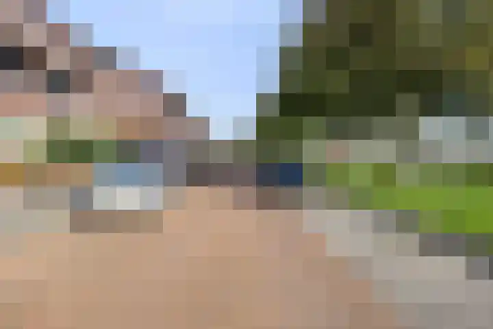 Valeriaan 95 Puttershoek thumbnail 29