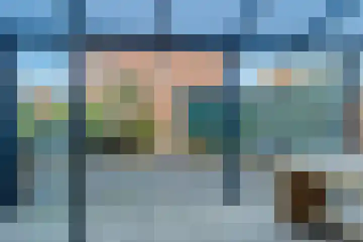 Valeriaan 95 Puttershoek thumbnail 5