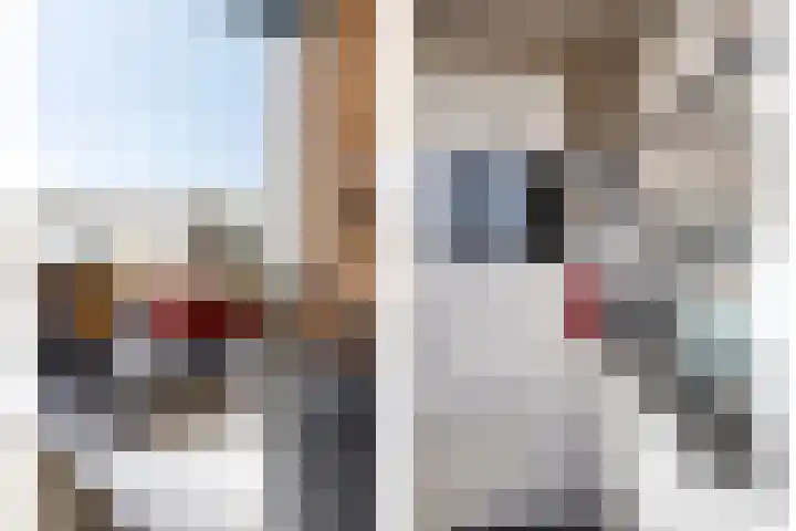Valeriaan 95 Puttershoek thumbnail 8