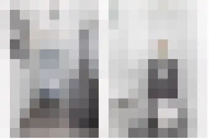 Valeriaandonk 11 Spijkenisse thumbnail 10