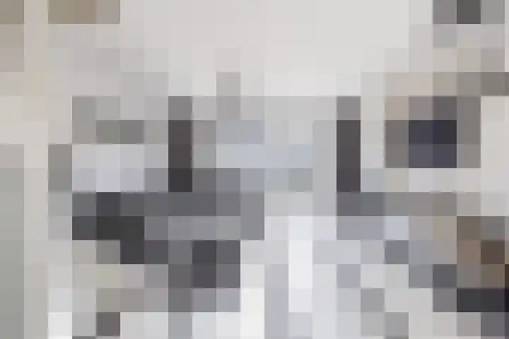 Valeriaandonk 11 Spijkenisse thumbnail 11