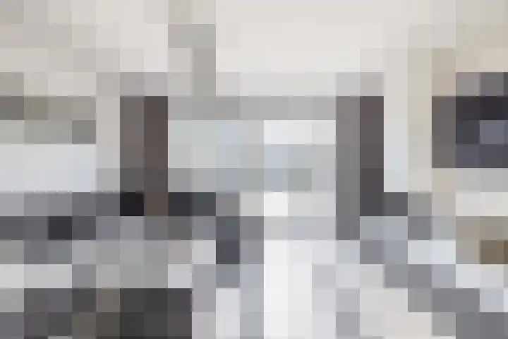 Valeriaandonk 11 Spijkenisse thumbnail 12