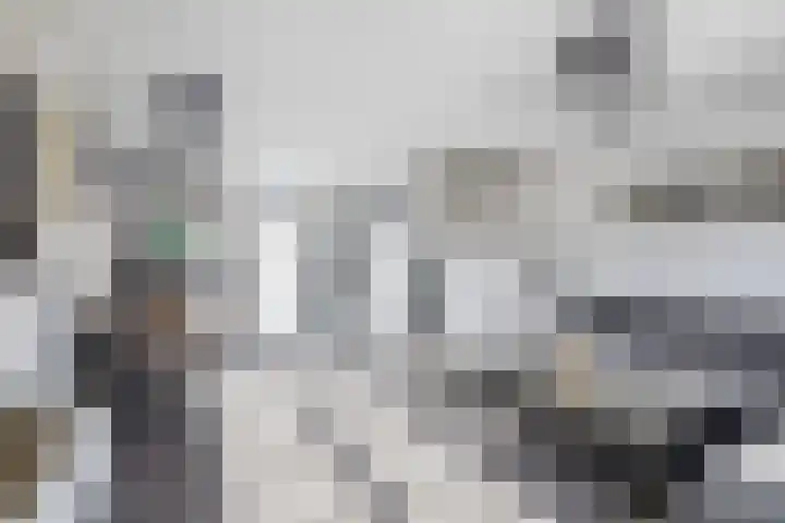 Valeriaandonk 11 Spijkenisse thumbnail 13