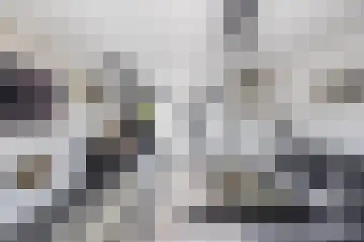 Valeriaandonk 11 Spijkenisse thumbnail 14