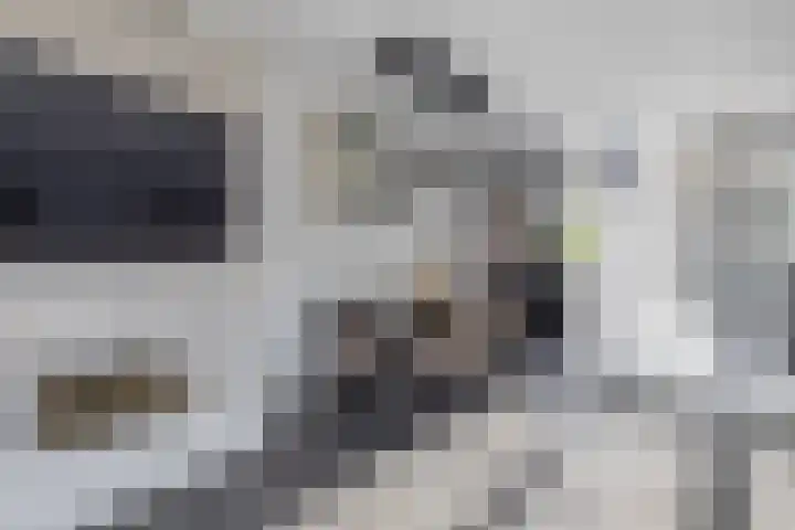 Valeriaandonk 11 Spijkenisse thumbnail 15