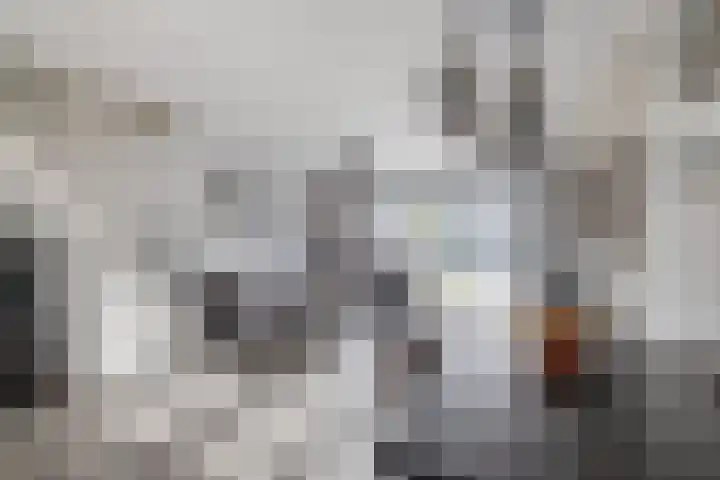 Valeriaandonk 11 Spijkenisse thumbnail 16