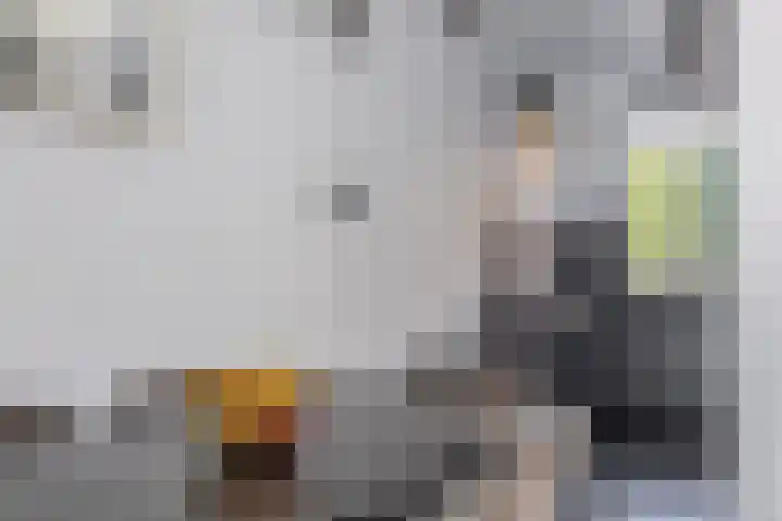 Valeriaandonk 11 Spijkenisse thumbnail 18