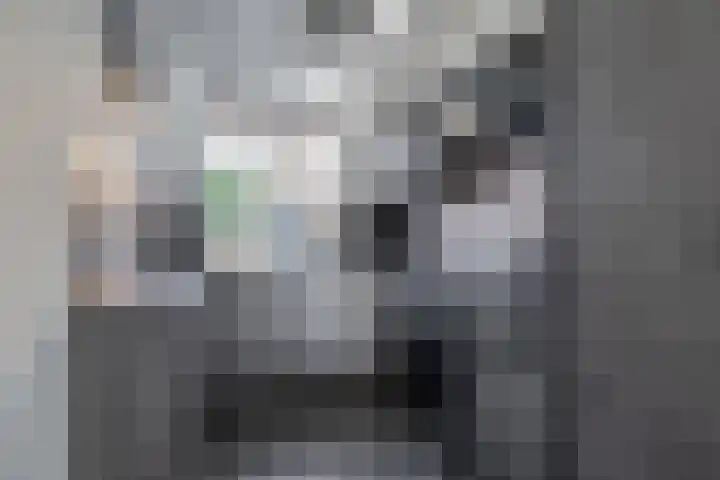 Valeriaandonk 11 Spijkenisse thumbnail 19