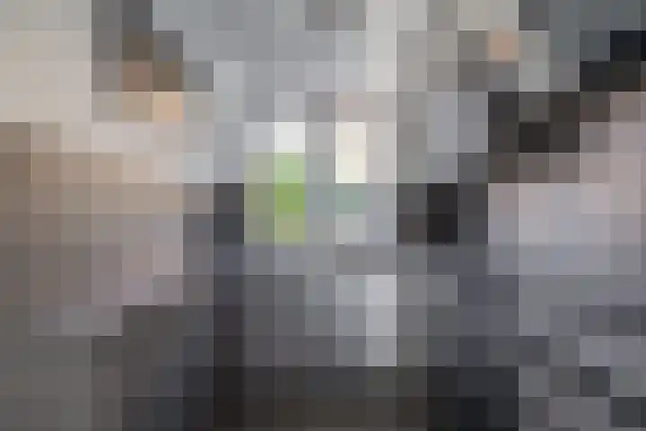 Valeriaandonk 11 Spijkenisse thumbnail 20