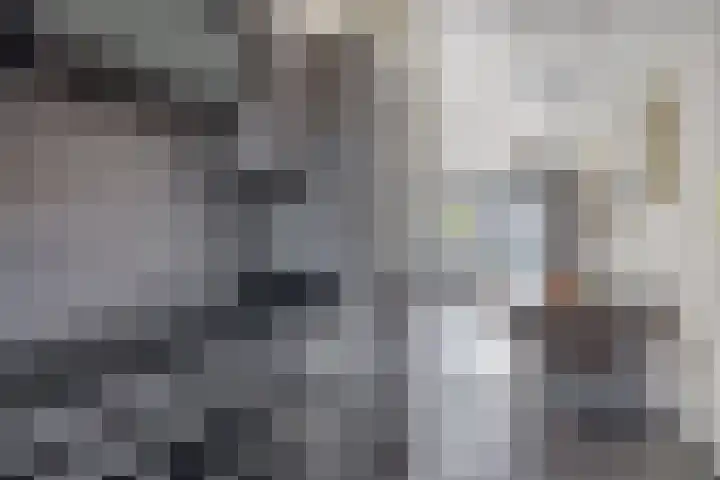 Valeriaandonk 11 Spijkenisse thumbnail 21