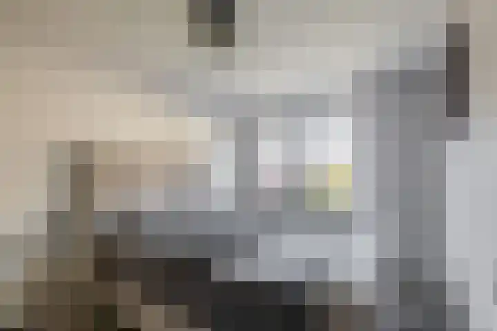 Valeriaandonk 11 Spijkenisse thumbnail 30