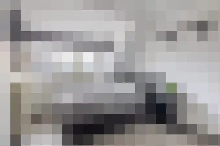 Valeriaandonk 11 Spijkenisse thumbnail 35