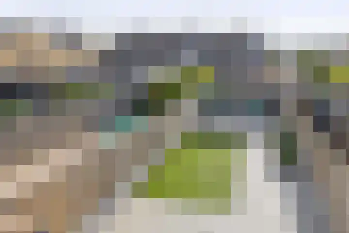 Valeriaandonk 11 Spijkenisse thumbnail 4