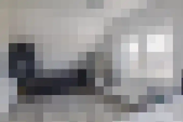 Valeriaandonk 11 Spijkenisse thumbnail 41