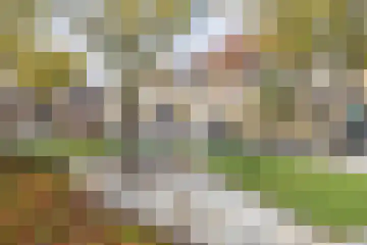 Valeriaandonk 11 Spijkenisse thumbnail 43