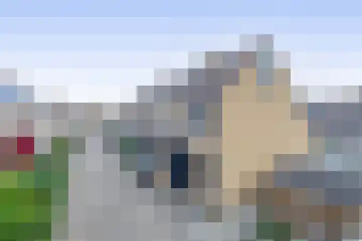 Valeriaandonk 11 Spijkenisse thumbnail 6