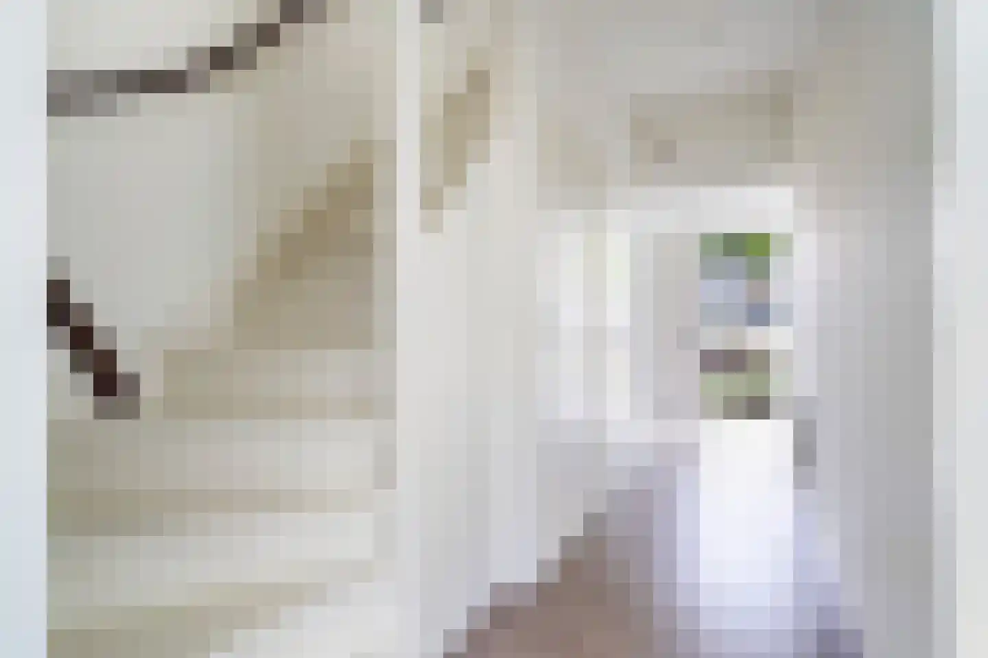 Valeriaanlaan 10 Scherpenzeel thumbnail 10