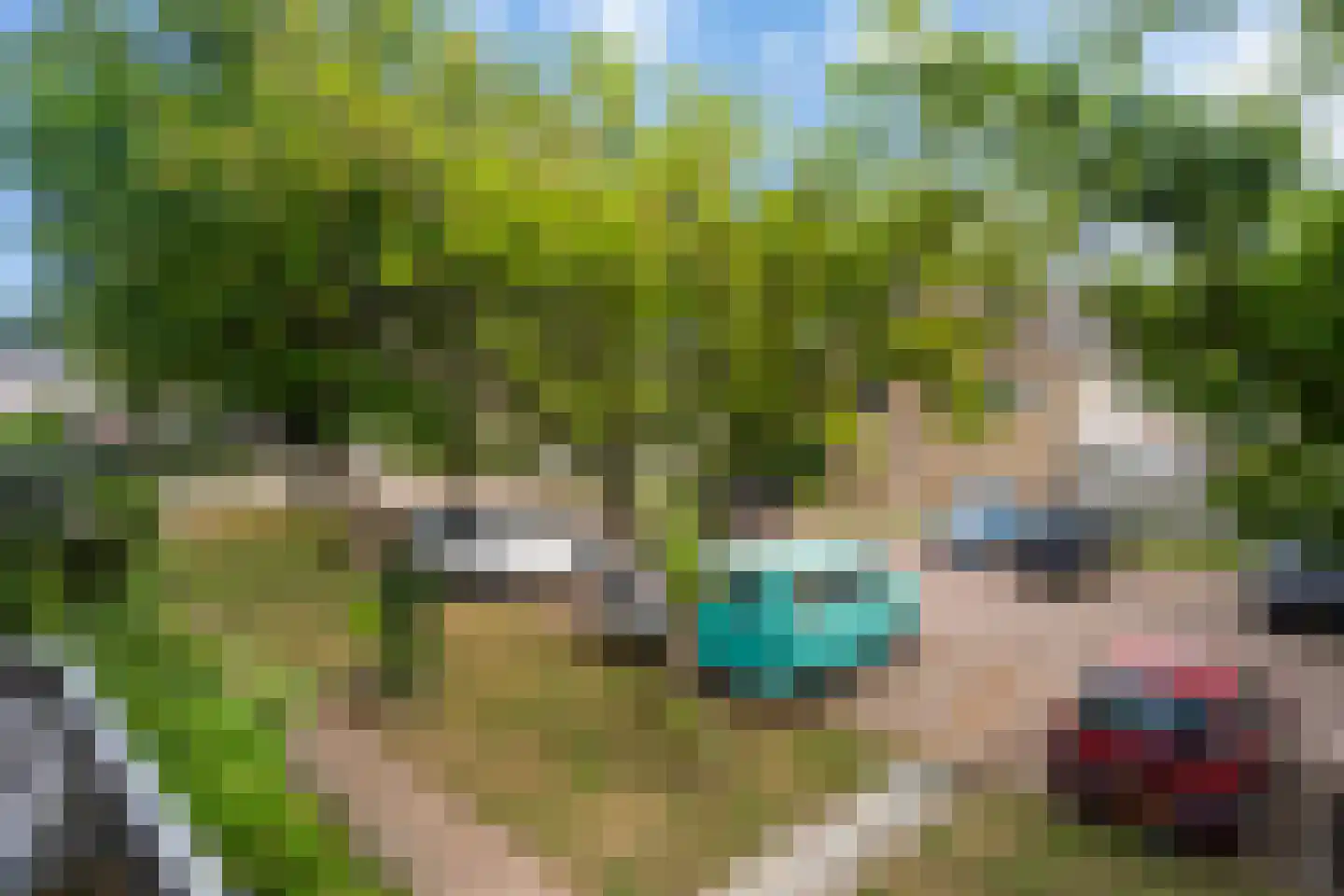 Valeriaanlaan 10 Scherpenzeel thumbnail 26