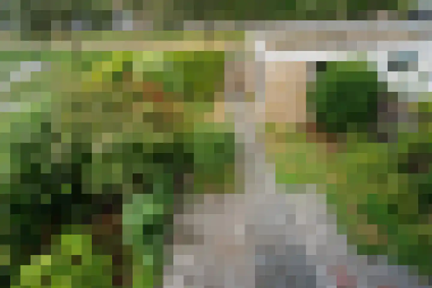 Valeriaanlaan 10 Scherpenzeel thumbnail 28