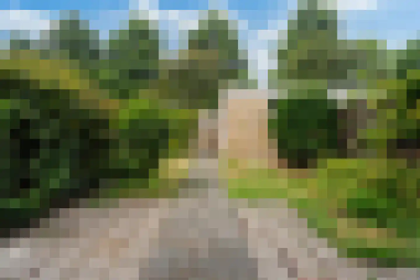 Valeriaanlaan 10 Scherpenzeel thumbnail 30
