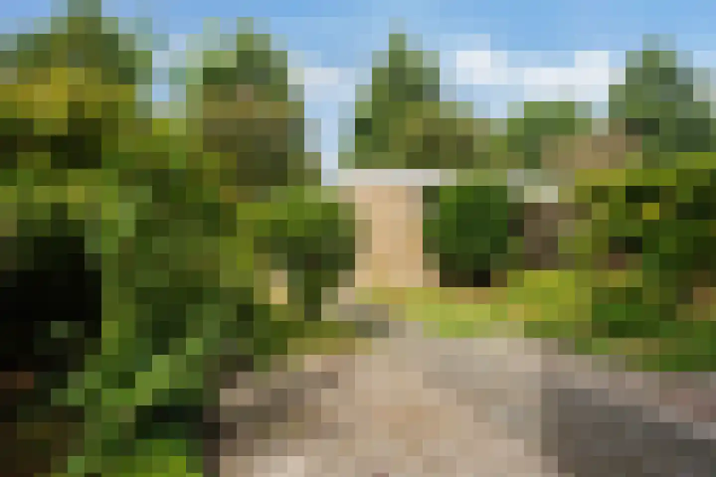Valeriaanlaan 10 Scherpenzeel thumbnail 31