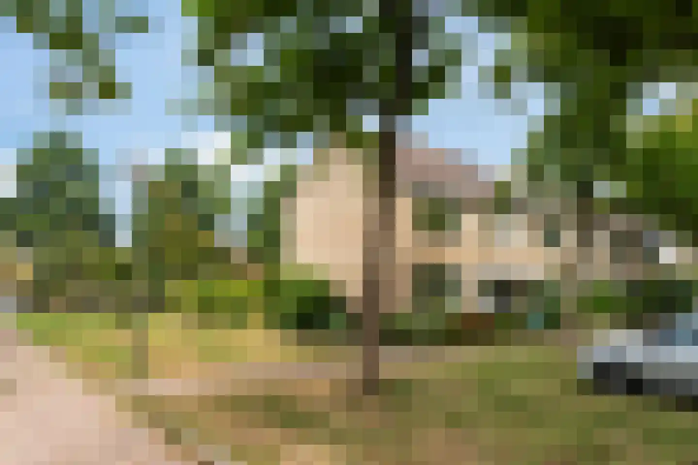 Valeriaanlaan 10 Scherpenzeel thumbnail 4