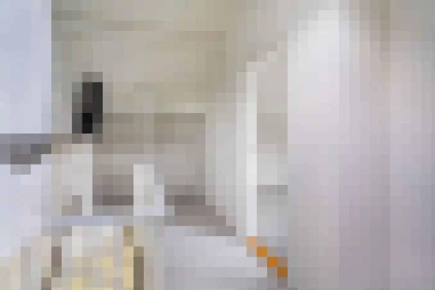 Valeriaanlaan 10 Scherpenzeel thumbnail 54