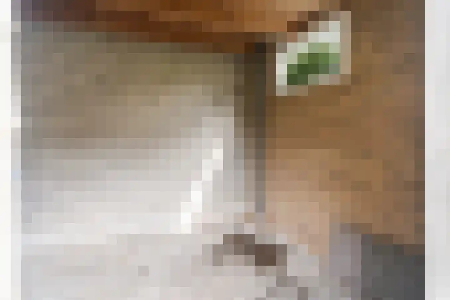 Valeriaanlaan 10 Scherpenzeel thumbnail 58