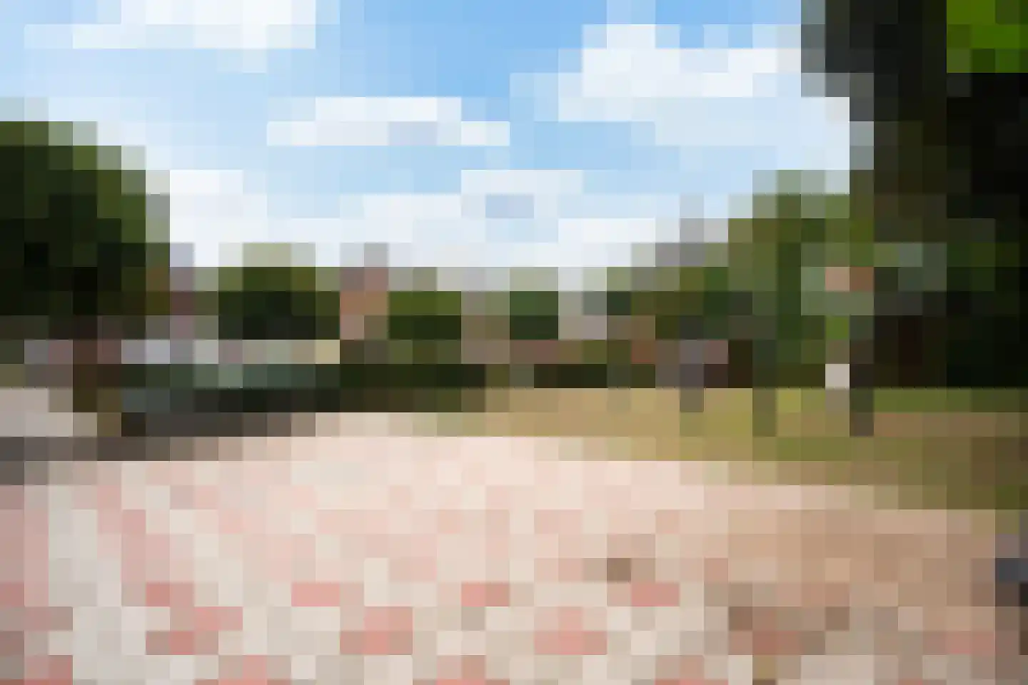 Valeriaanlaan 10 Scherpenzeel thumbnail 60