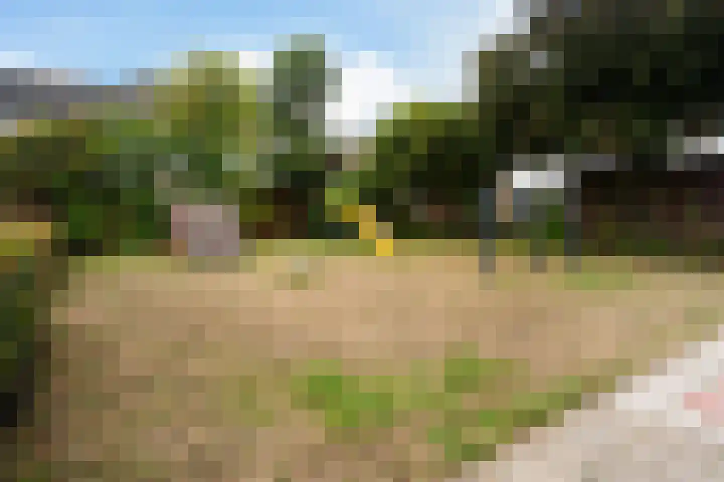 Valeriaanlaan 10 Scherpenzeel thumbnail 61