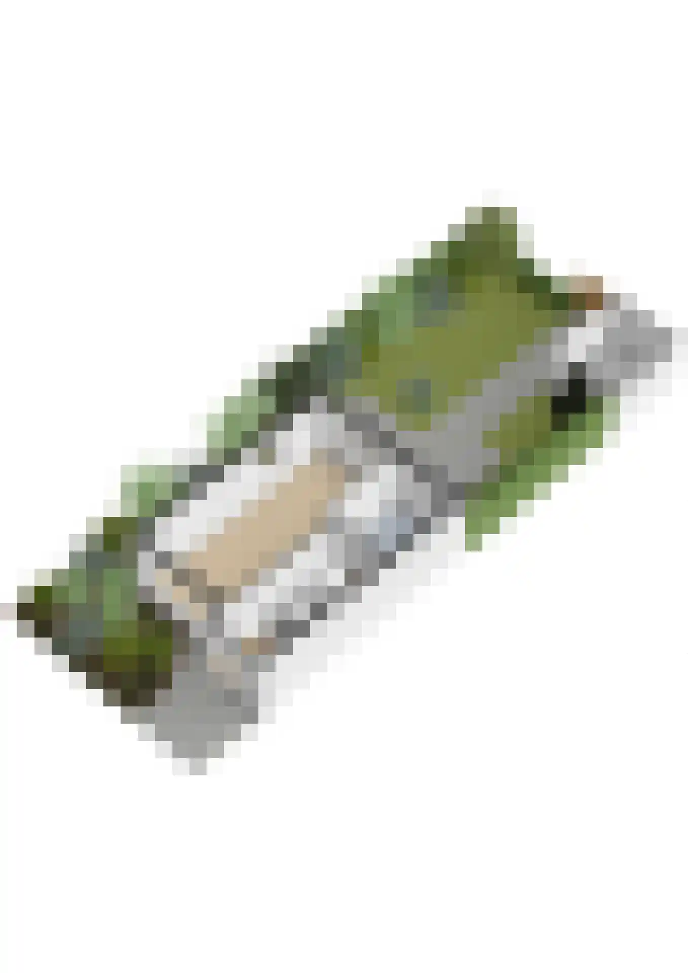 Valeriaanlaan 10 Scherpenzeel thumbnail 71