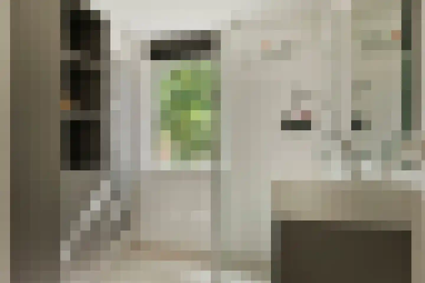 Valeriaanlaan 42 Scherpenzeel thumbnail 11
