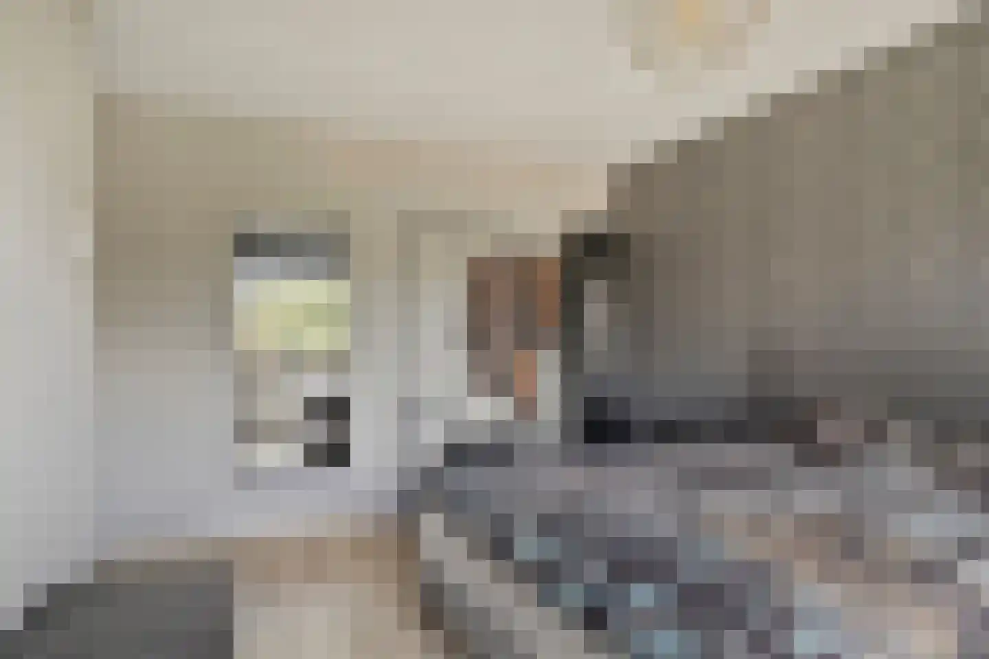 Valeriaanlaan 42 Scherpenzeel thumbnail 15