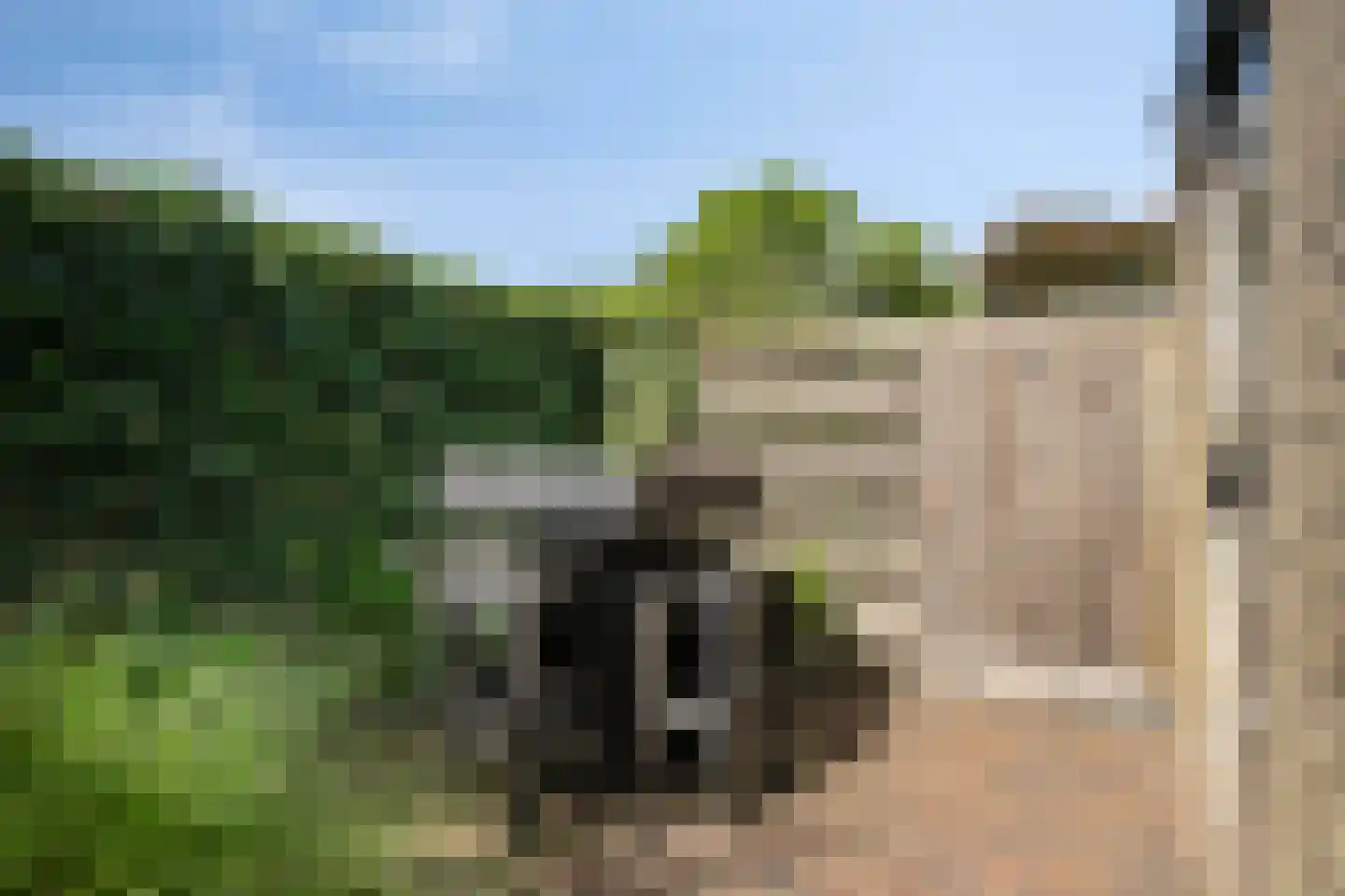Valeriaanlaan 42 Scherpenzeel thumbnail 24