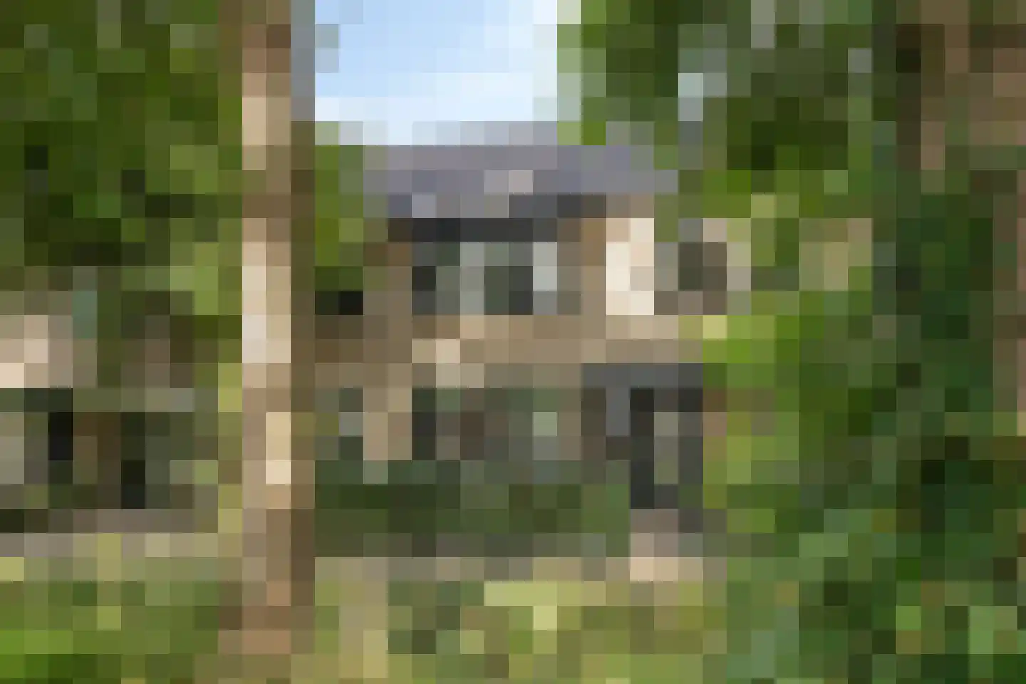 Valeriaanlaan 42 Scherpenzeel thumbnail 28