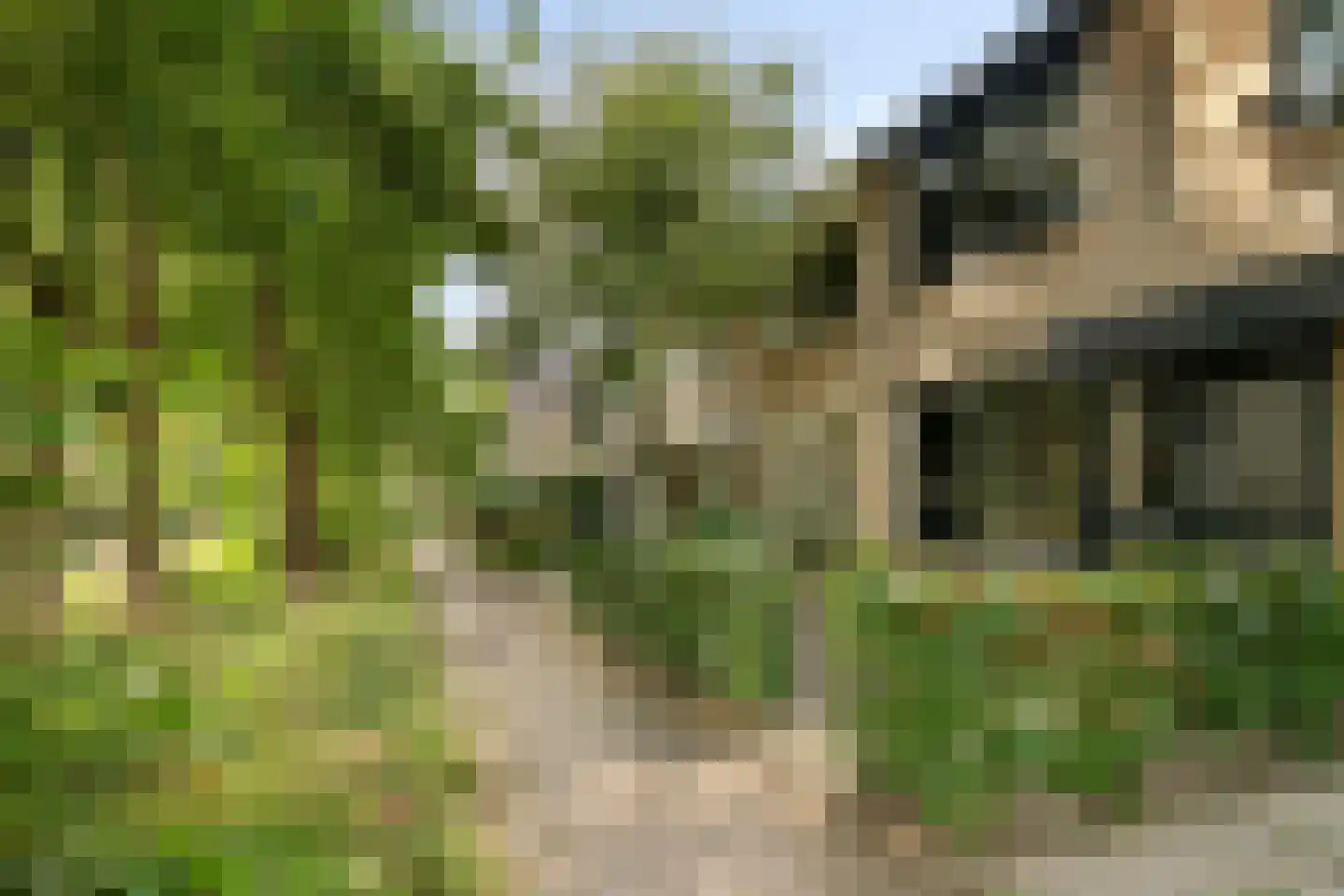 Valeriaanlaan 42 Scherpenzeel thumbnail 29