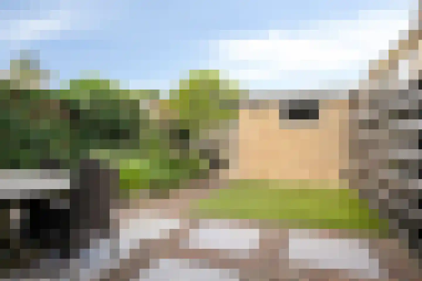 Valeriaanlaan 42 Scherpenzeel foto 3