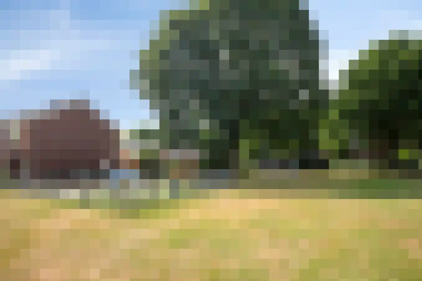 Valeriaanlaan 42 Scherpenzeel thumbnail 32
