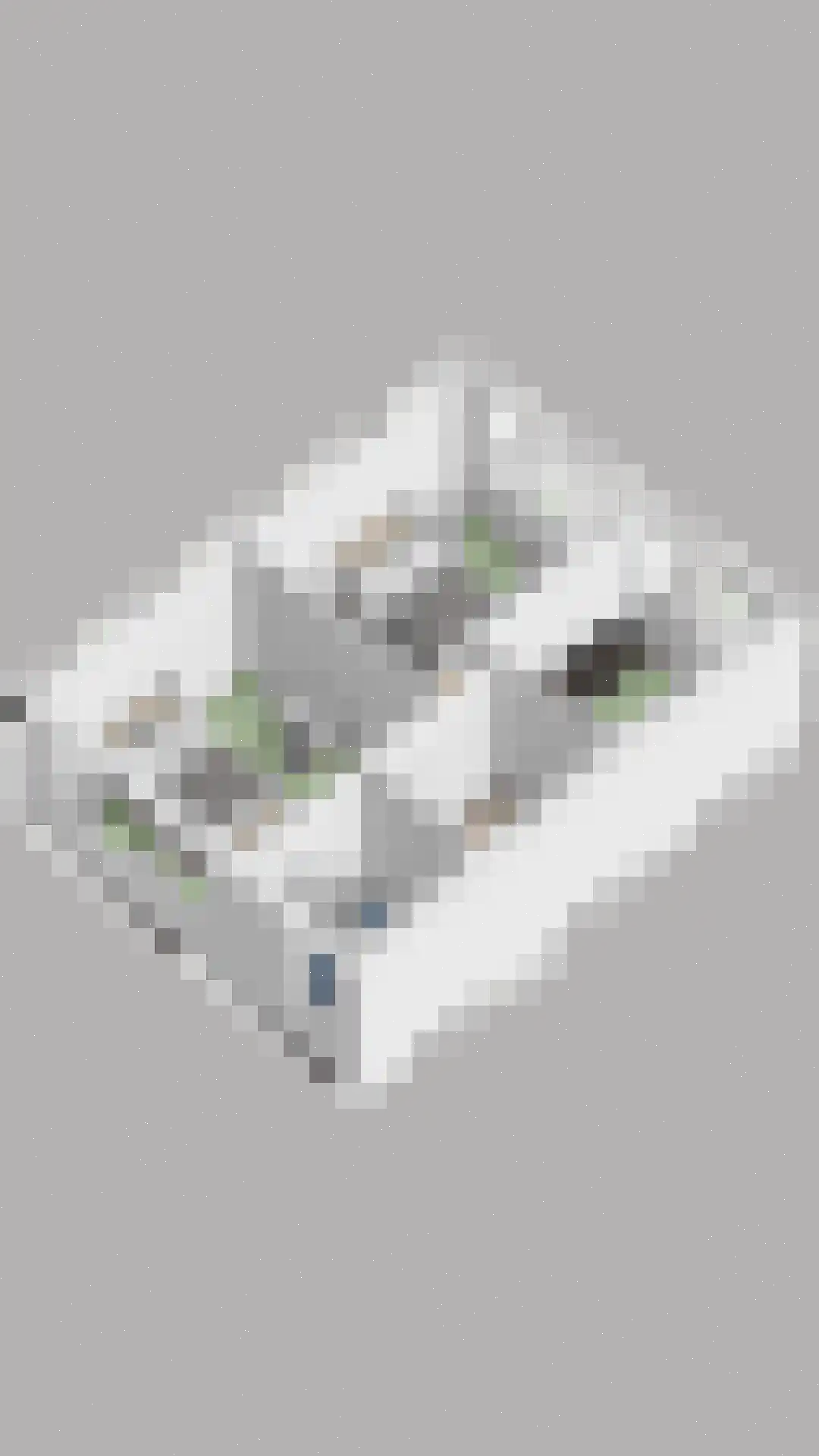 Valeriaanlaan 42 Scherpenzeel thumbnail 39