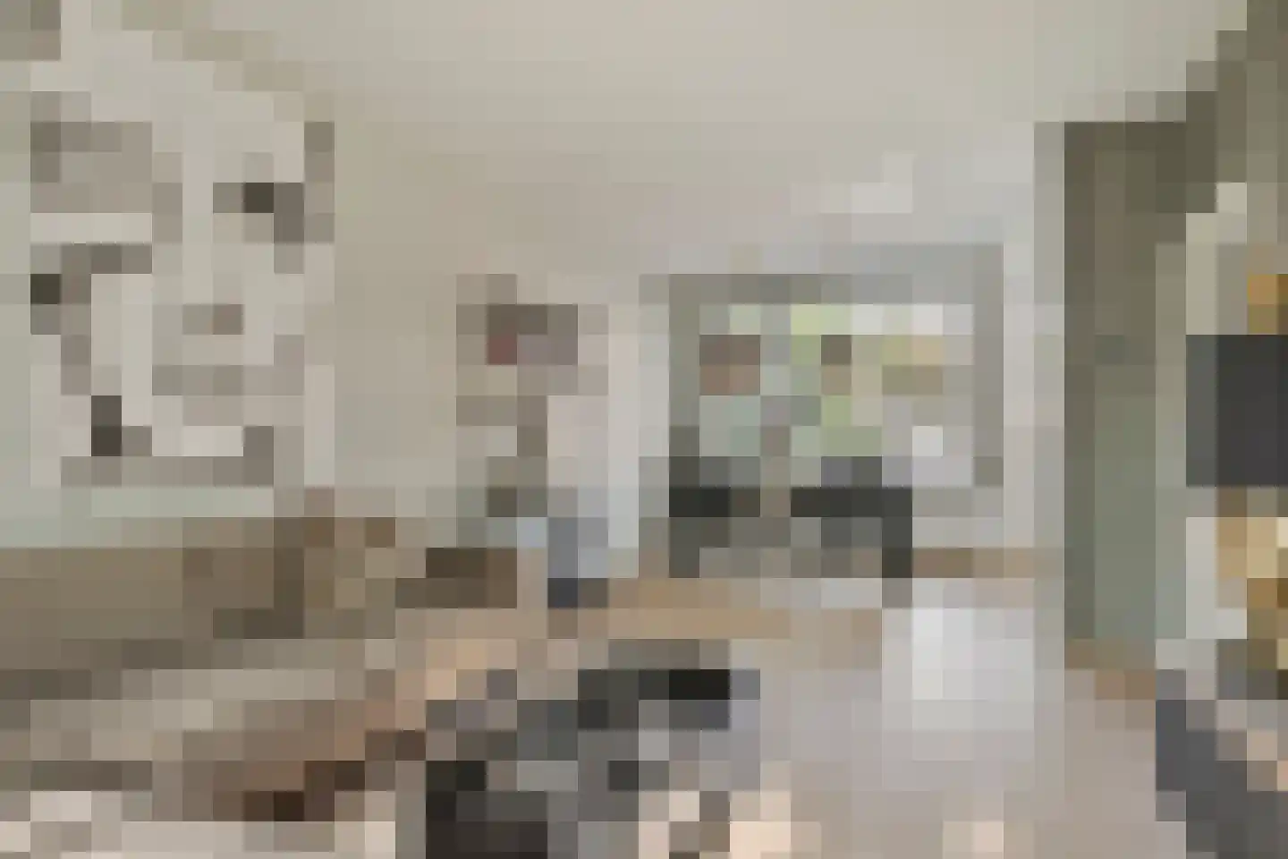 Valeriaanlaan 42 Scherpenzeel thumbnail 5