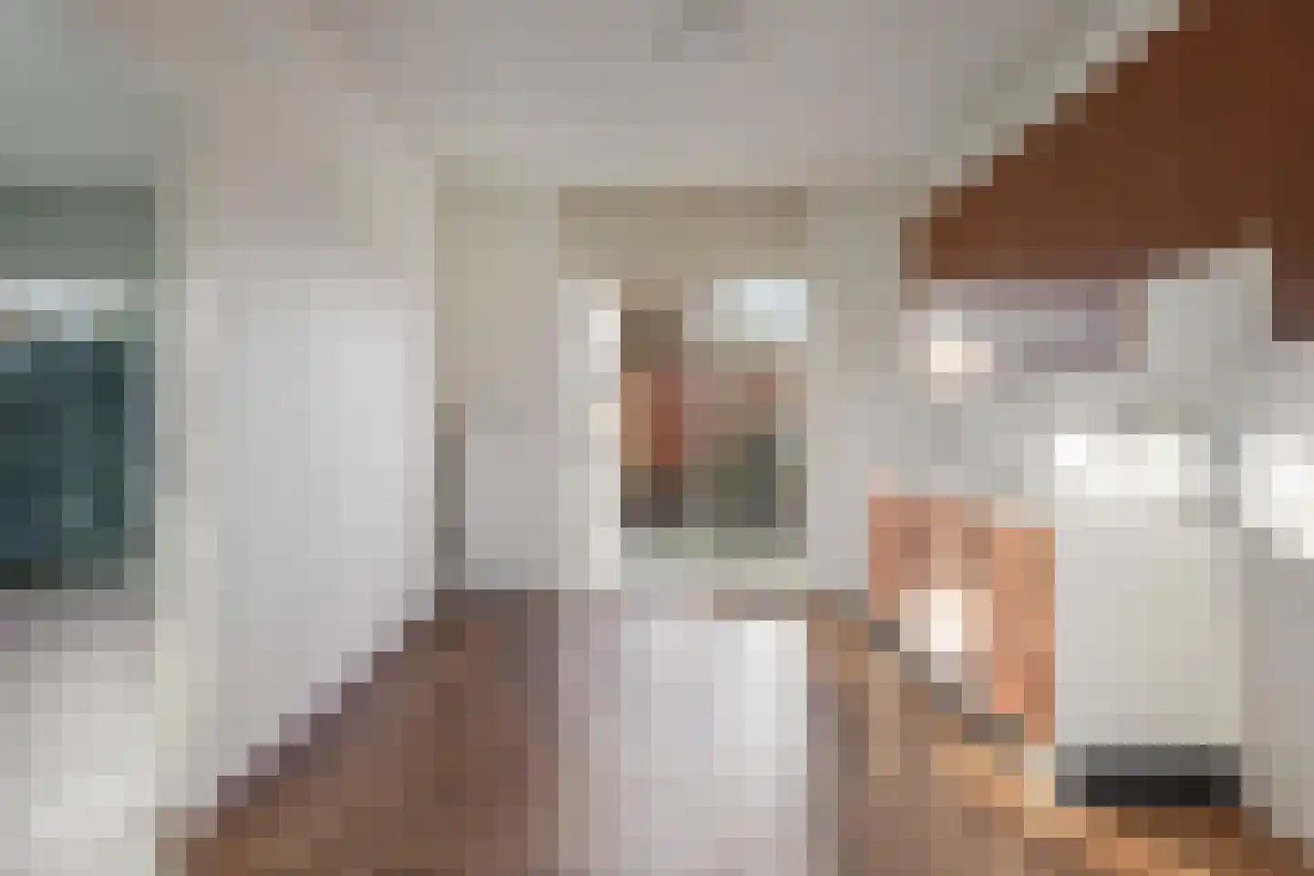 Valeriaanpad 2 Arnhem thumbnail 12