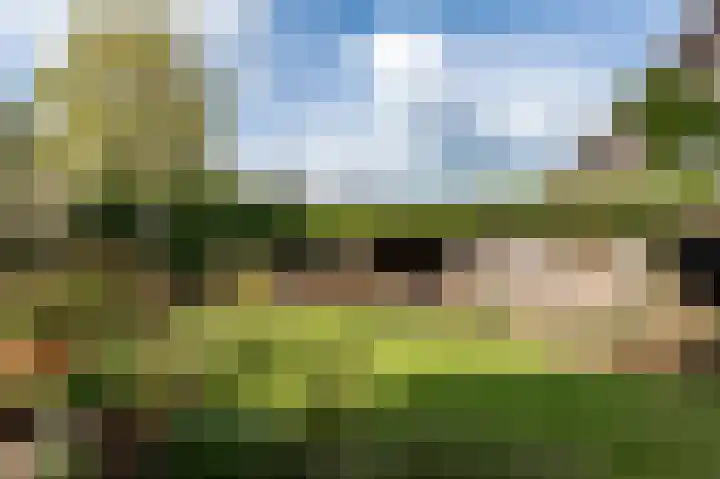 Valeriaanpad 2 Arnhem thumbnail 15