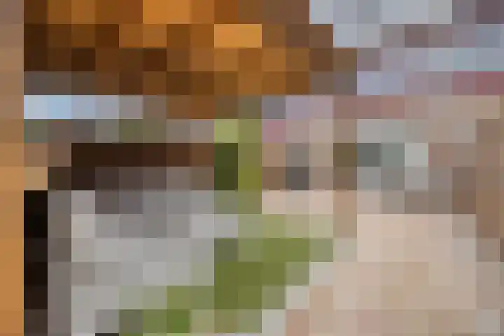 Valeriaanpad 2 Arnhem thumbnail 19