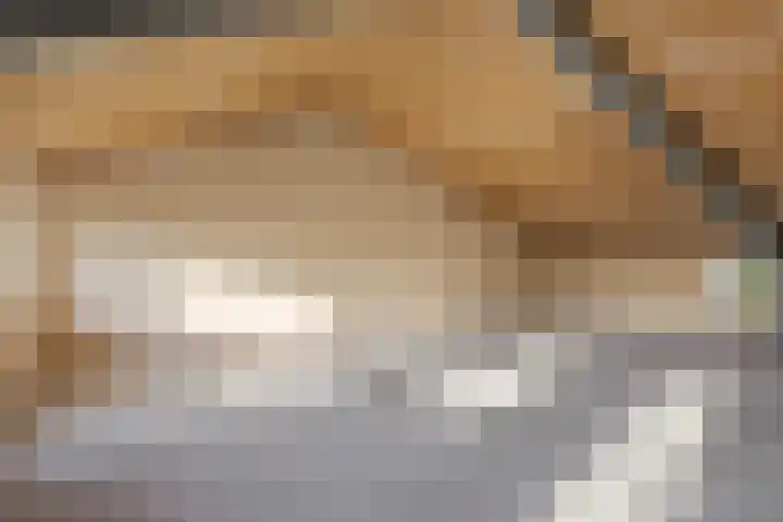 Valeriaanpad 2 Arnhem thumbnail 25